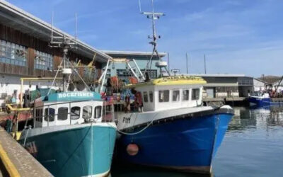 Podcast: Government Failures Spark Existential Crisis for English Fishing