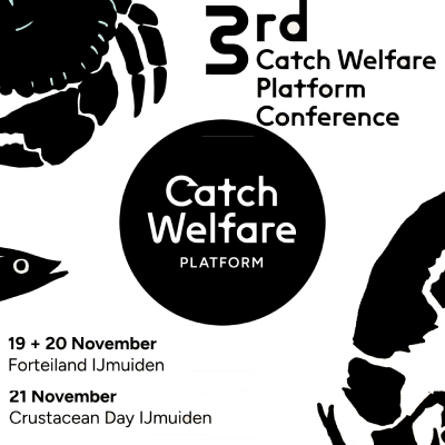 CWP_Post_400 the fishing daily advertise with us