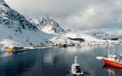 Norwegian Seafood Council Reports Surge in Wild Fish Prices
