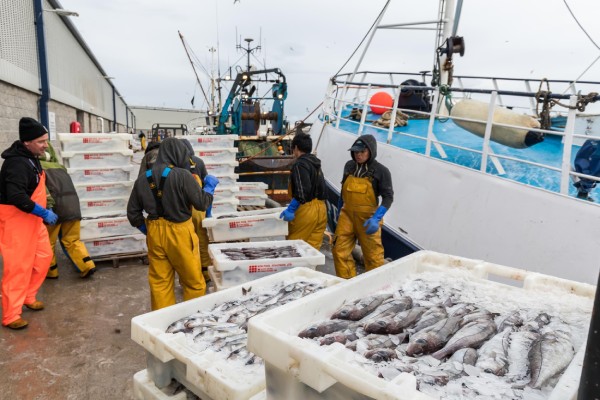 New Guidance Issued to Support UK Fishing Industry Employers