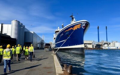 Value of Danish Fishmeal Raw Material Rises on Higher Prices