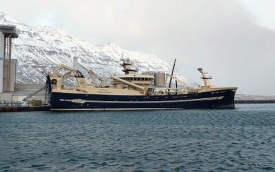 Blue Whiting and Capelin Landings Progress Steadily in Neskaupstaður