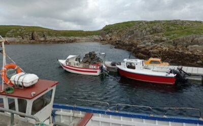 NIFA Warns Inshore Fisheries Face Collapse Amid Fuel Crisis