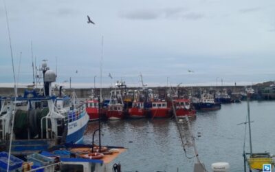 Fishing Master Fined for Obstructing SFPO at Clogherhead