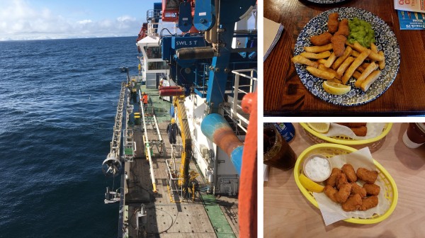 Report Alleges Hidden Climate Cost in North Sea Scampi