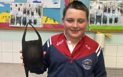 Local Student Discovers Critically Endangered White Skate Egg Case